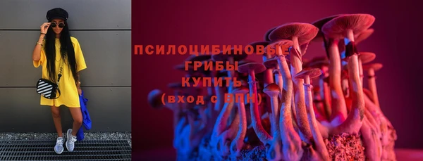 соль ск Богородицк