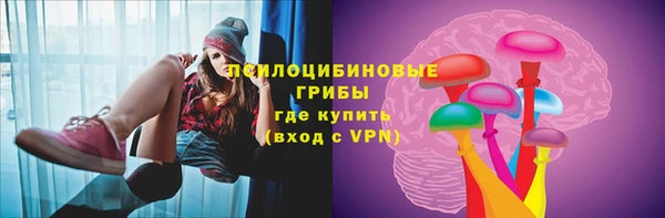 соль ск Богородицк