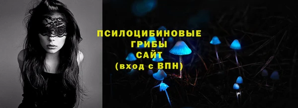 соль ск Богородицк