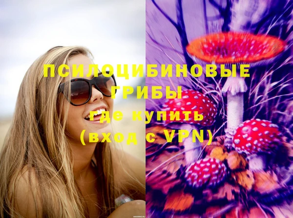 соль ск Богородицк