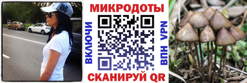 Галлюциногенные грибы Magic Shrooms  Новотитаровская 